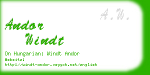 andor windt business card